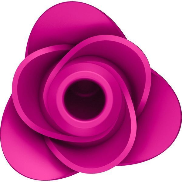 Вакуумний кліторальний стимулятор Satisfyer Pro 2 Modern Blossom 1259154 фото