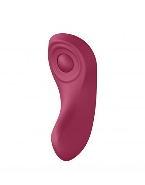 Набор Satisfyer Partner Box 1 (вибратор для пар Double Joy + вибратор в трусики Sexy Secret) 997509 фото