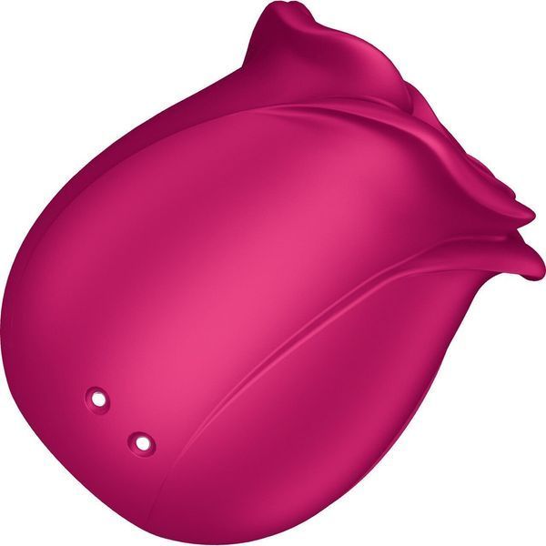 Вакуумний кліторальний стимулятор Satisfyer Pro 2 Classic Blossom 1259153 фото