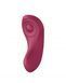 Набор Satisfyer Partner Box 1 (вибратор для пар Double Joy + вибратор в трусики Sexy Secret) 997509 фото 8