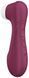 Вакуумний кліторальний стимулятор Satisfyer Pro 2 Generation 3 with Liquid Air Connect App Wine Red 1088331 фото 4